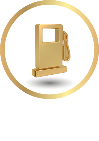 ícone .
